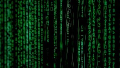 search phone number details