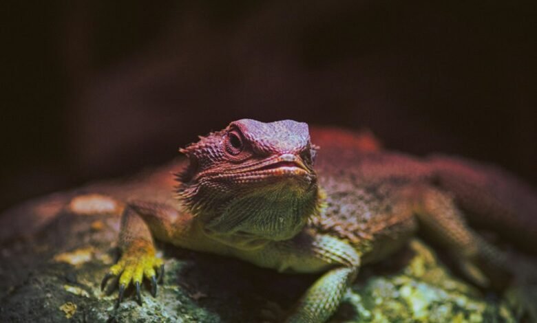 identifier behavior and metrics