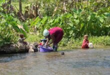 keveshelman activity interaction summary