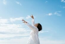 profile performance analysis overview