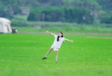 user activity insights summary