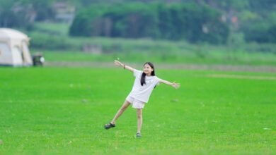 user activity insights summary