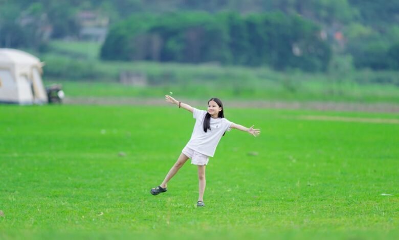 user activity insights summary