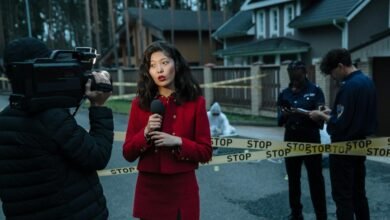 caller investigation report findings