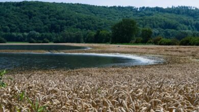 digital yield edge technology