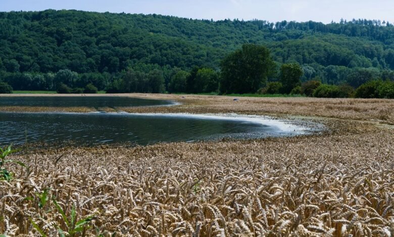 digital yield edge technology