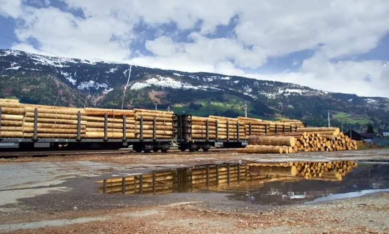 testing platform performance insights