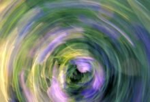 vortex market flow analysis